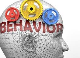 Behavior Images – Browse 804,864 Stock ...